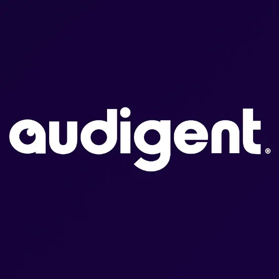 audigent-1672838042-1691434413.webp